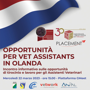 Opportunità per Vet Assistants in Olanda