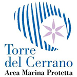 Area marina protetta "Torre di Cerrano"