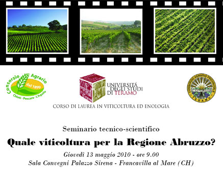  Quale viticoltura per la Regione Abruzzo?