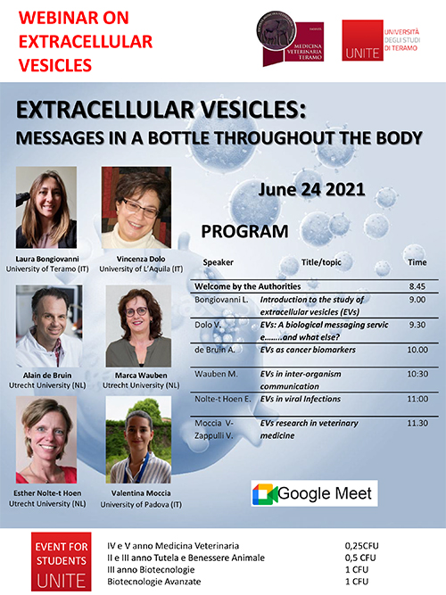 Webinar "Extracellular vesicles: messages in a bottle throughout the body"  