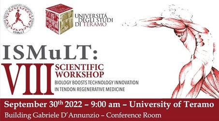 Ismult - VIII Scientific Workshop