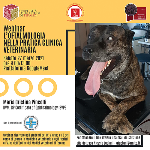 Webinar "L'oftalmologia nella pratica clinica veterinaria"