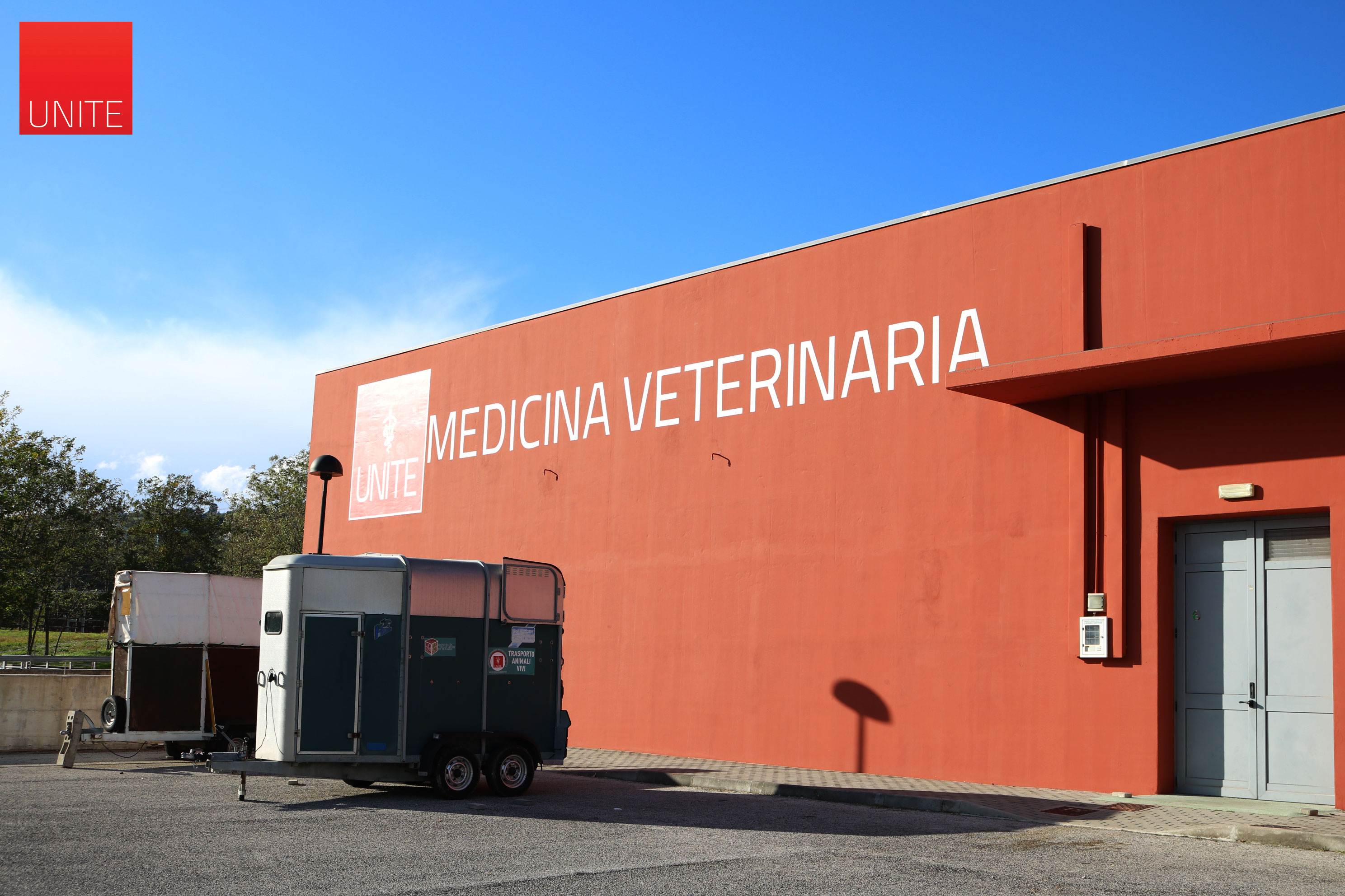medicina_veterinaria_teramo_26.JPG